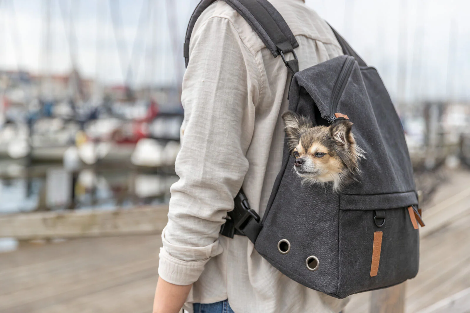 BE NORDIC Rucksack Bjorn - Image 10