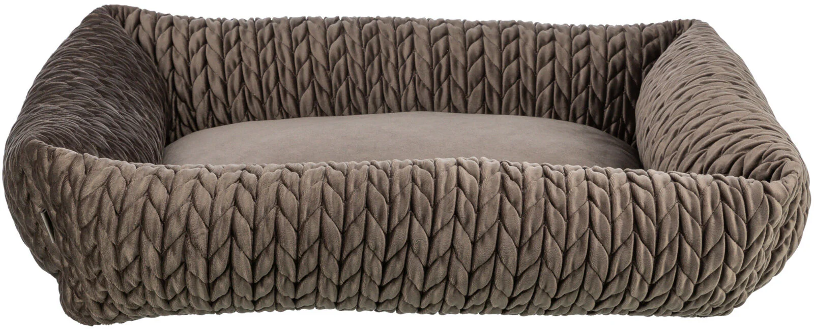 Bett Livia - Image 7
