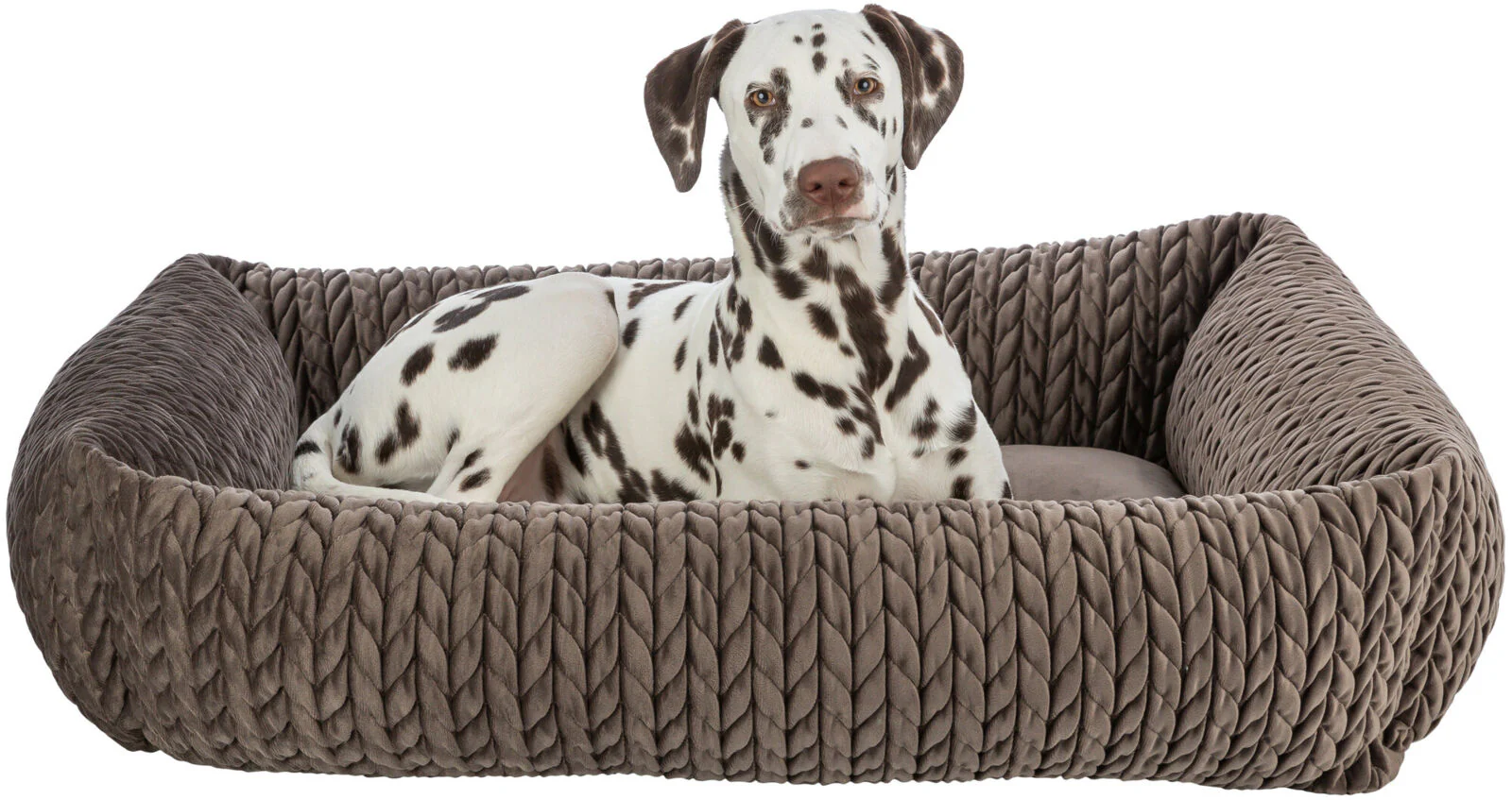 Bett Livia - Image 8