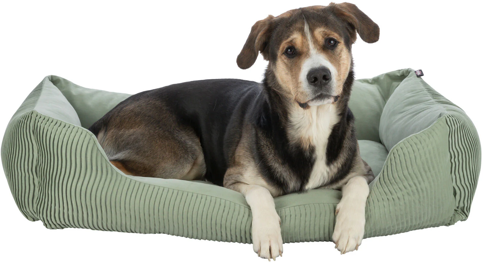 Bett Marley - Image 28