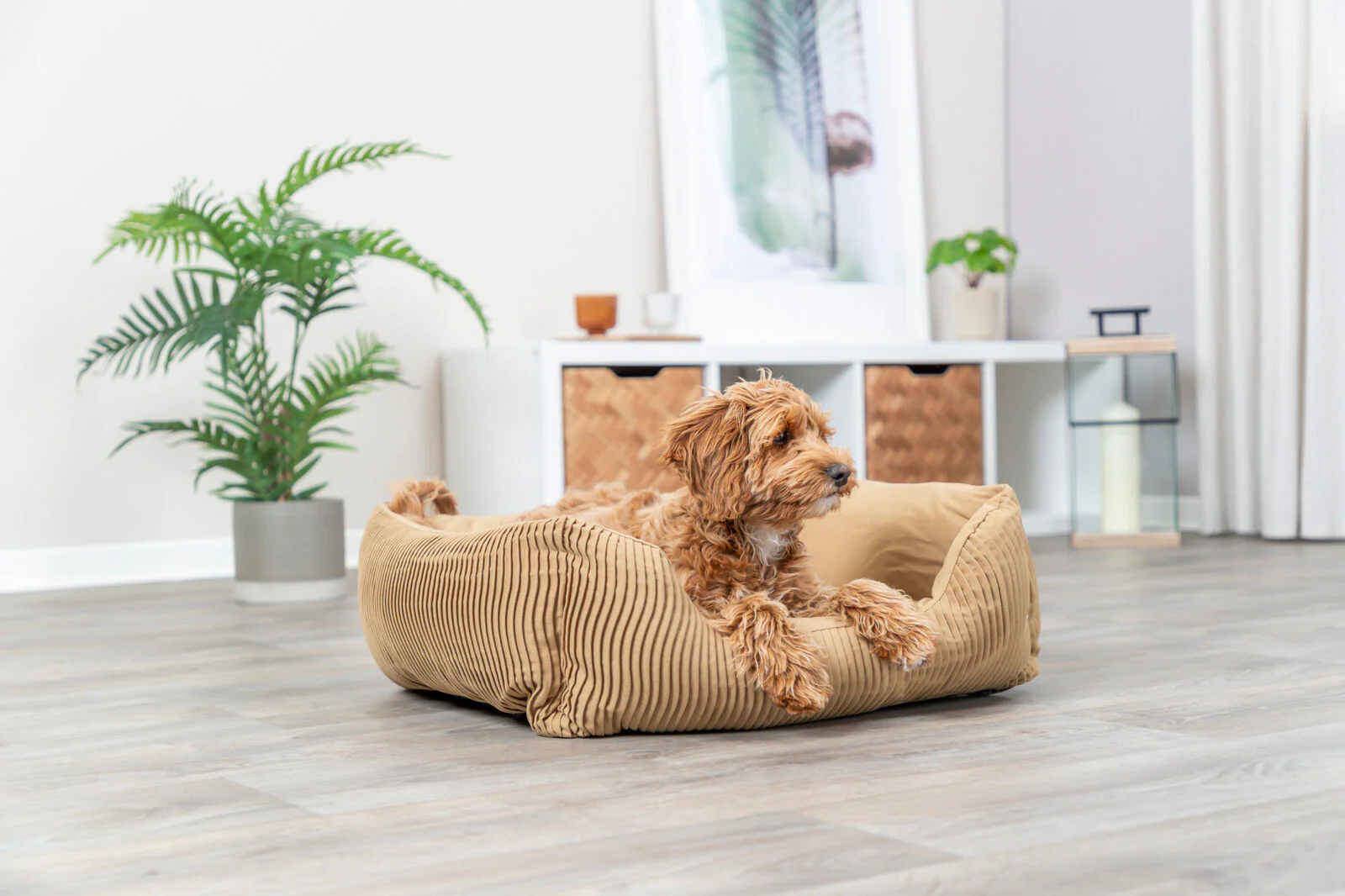 Bett Marley - Image 33