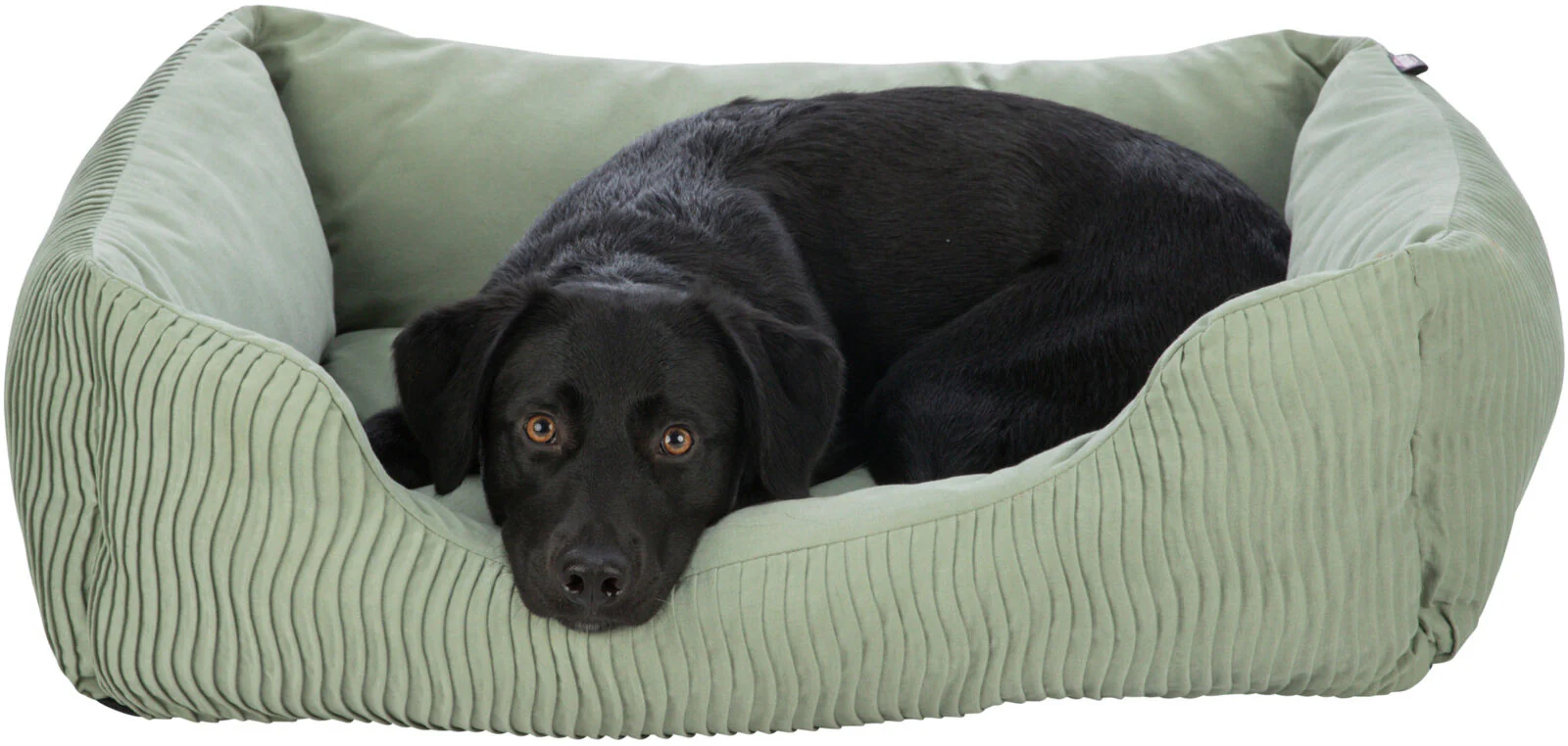 Bett Marley - Image 7