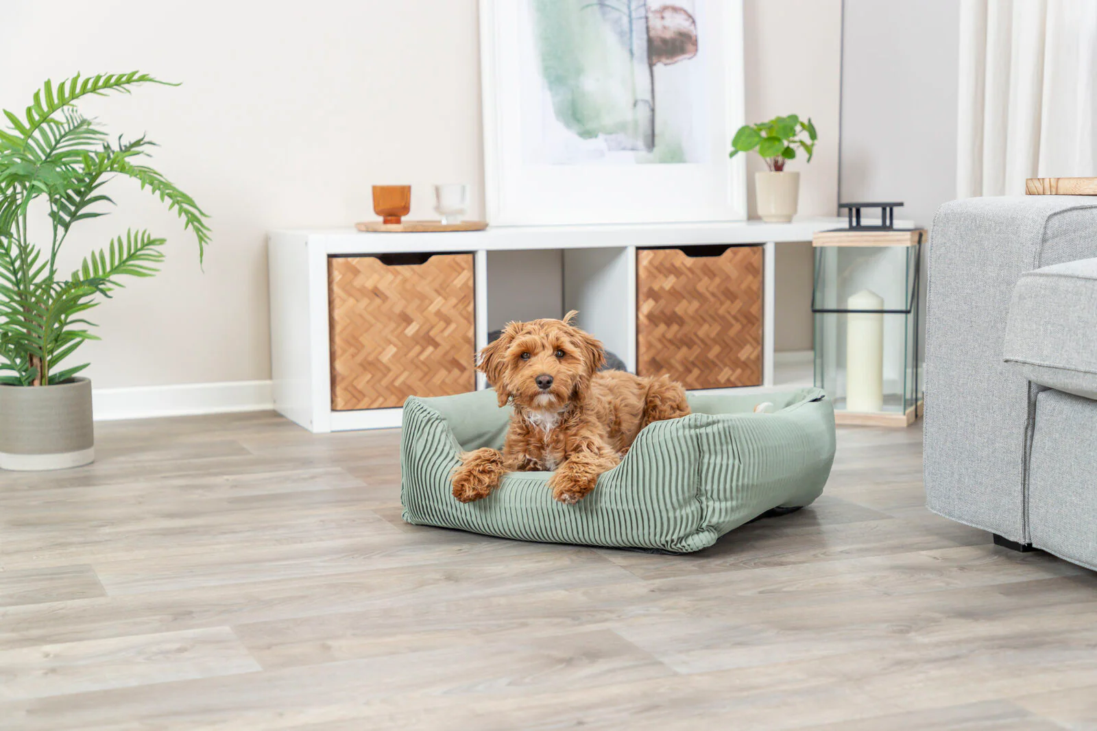 Bett Marley - Image 9