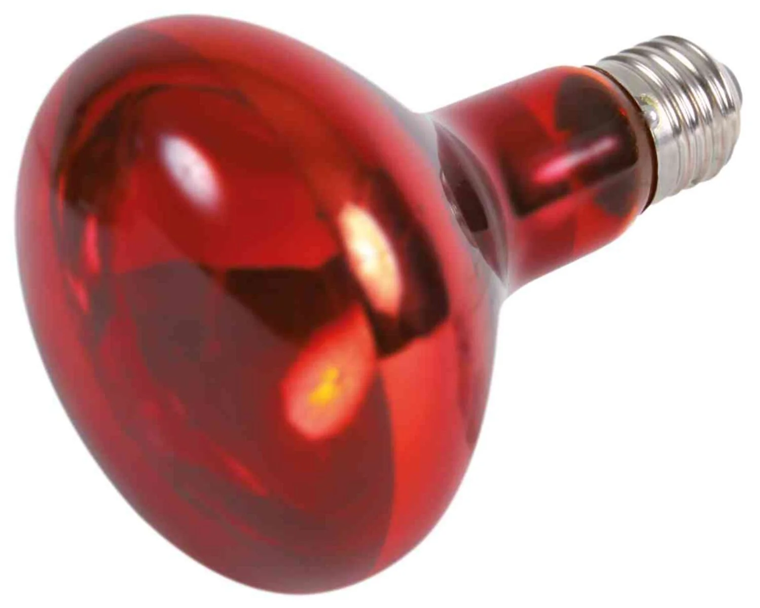Infrarot Wärme-Spot-Lampe - Image 10