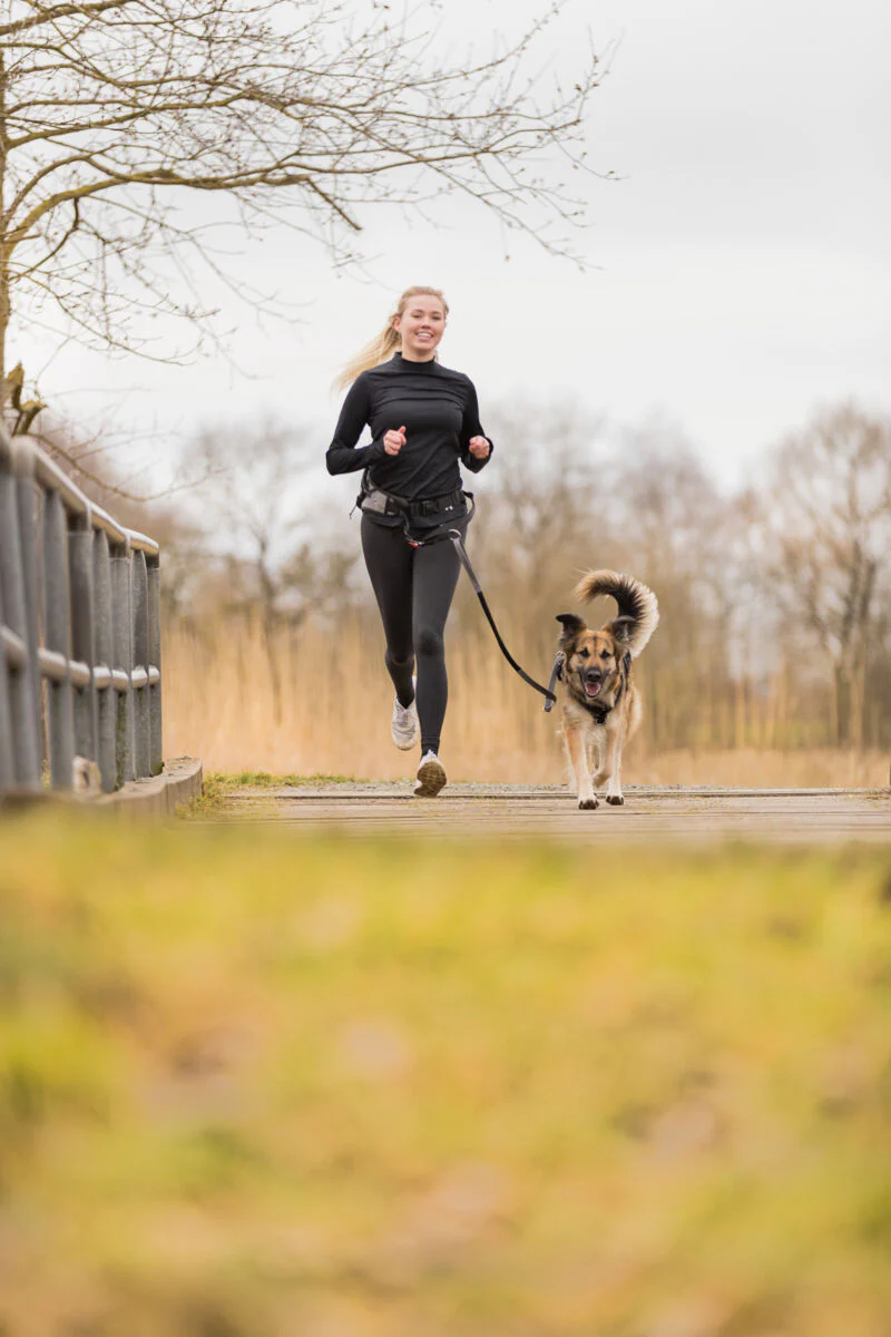 Jogginggurt mit Leine - Image 6