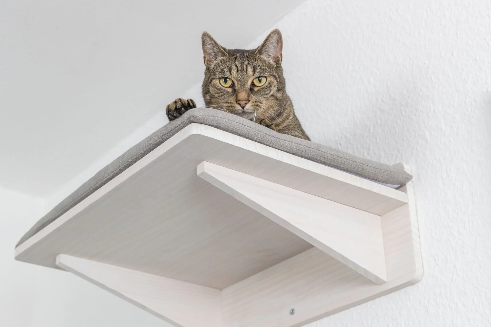 Liegeplatte zur Wandmontage - Image 4