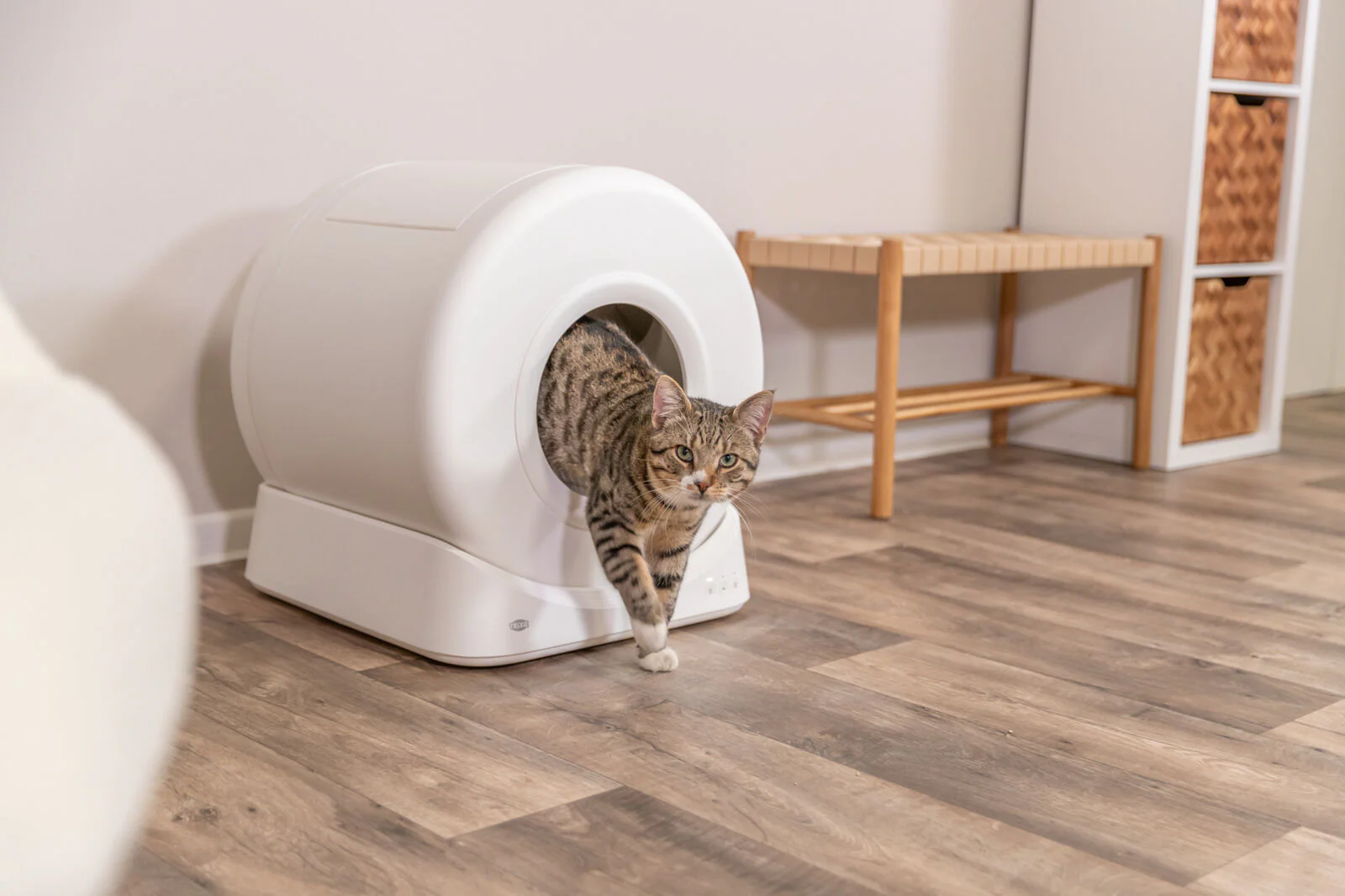 Smarte Katzentoilette - Image 11
